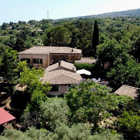 Bed And Breakfast Il Glicine Piedimonte Etneo Buitenkant foto