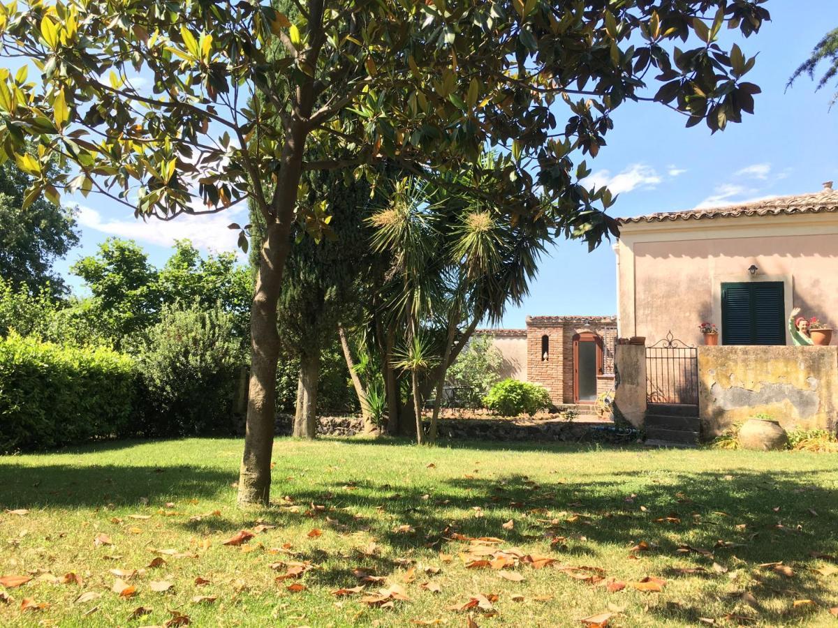 Bed And Breakfast Il Glicine Piedimonte Etneo Kamer foto