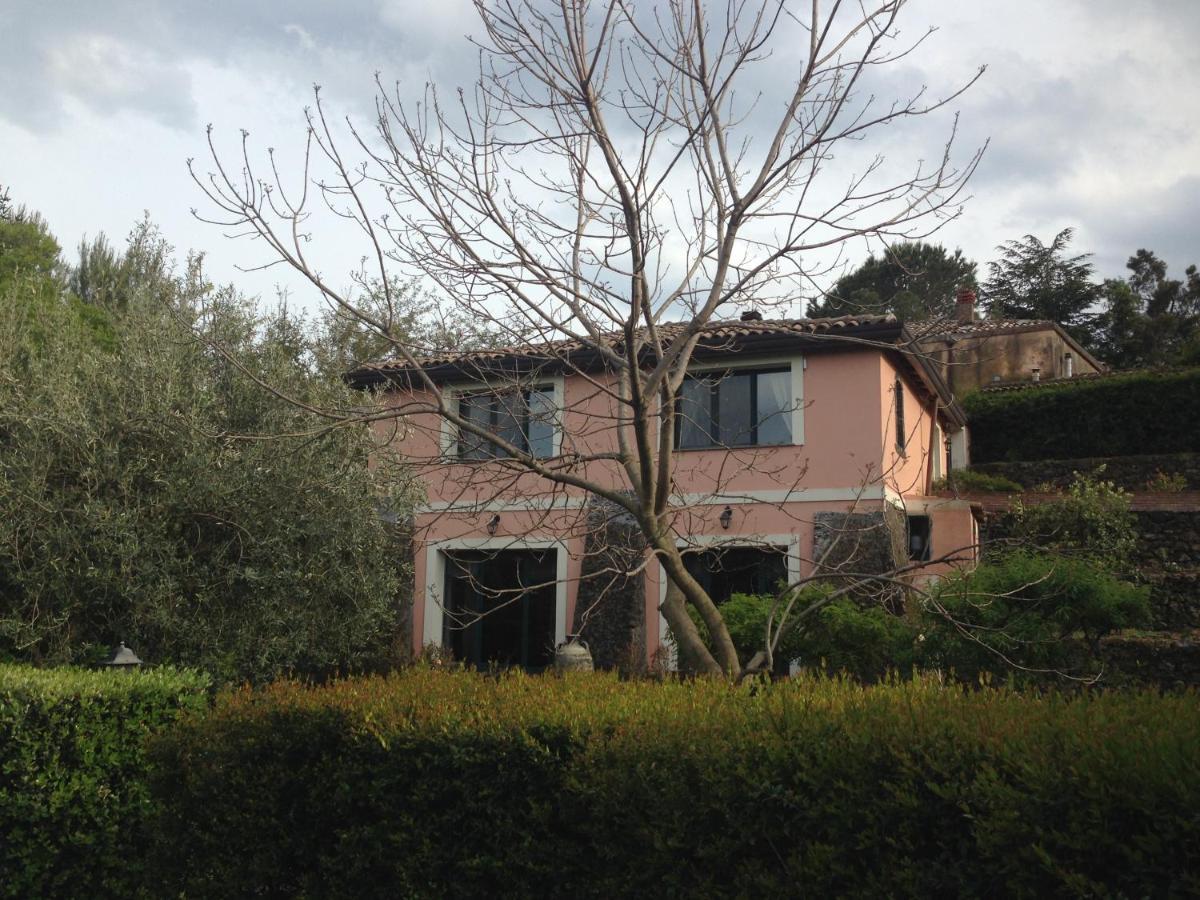 Bed And Breakfast Il Glicine Piedimonte Etneo Buitenkant foto
