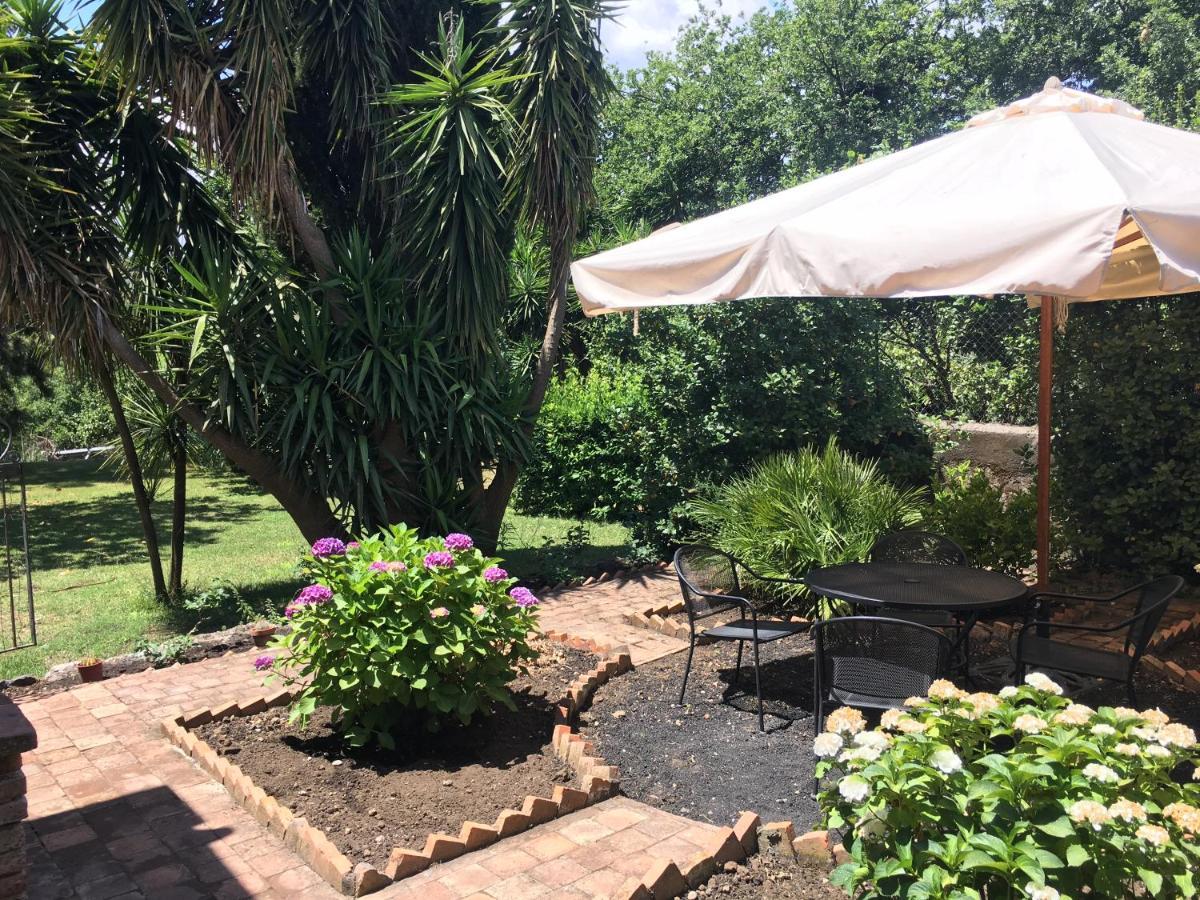 Bed And Breakfast Il Glicine Piedimonte Etneo Buitenkant foto