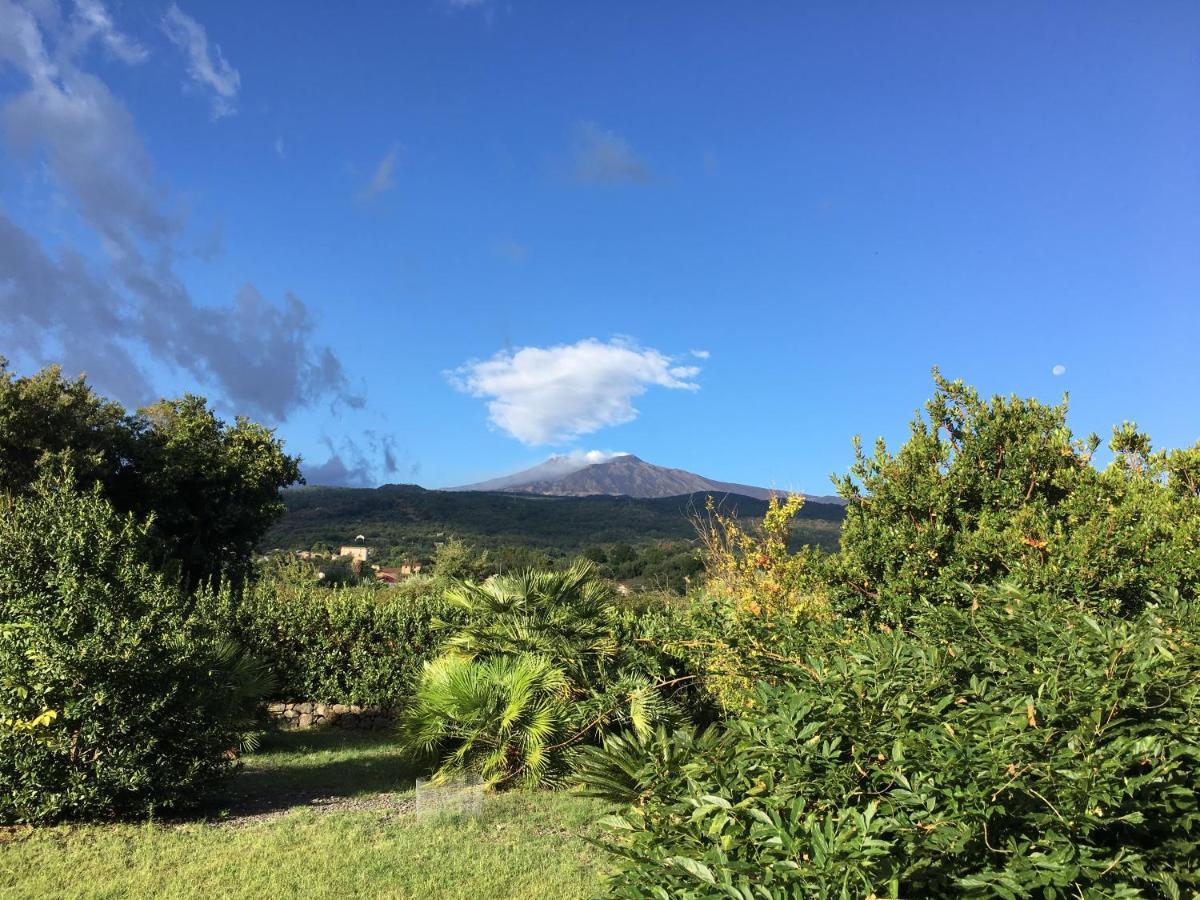 Bed And Breakfast Il Glicine Piedimonte Etneo Buitenkant foto