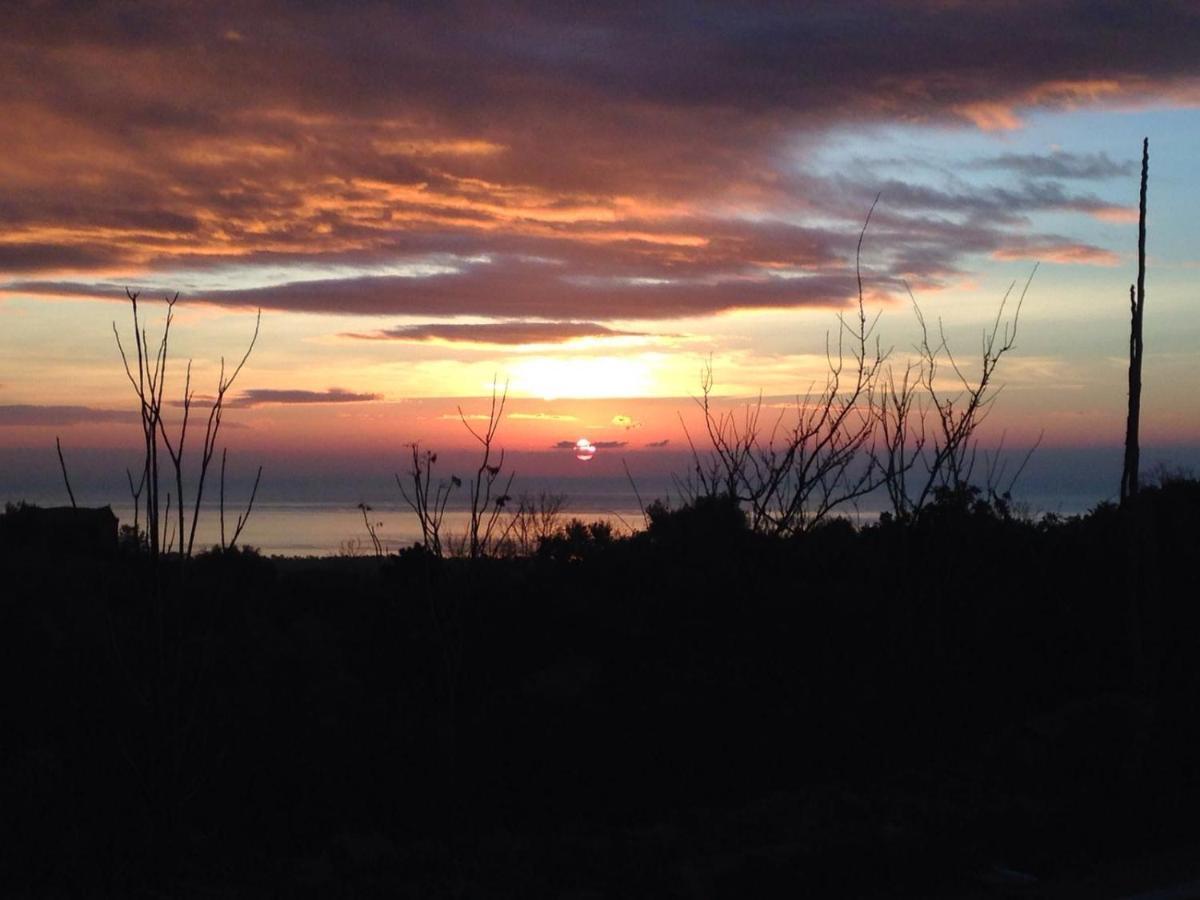 Bed And Breakfast Il Glicine Piedimonte Etneo Buitenkant foto