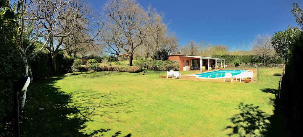 Bed And Breakfast Il Glicine Piedimonte Etneo Buitenkant foto